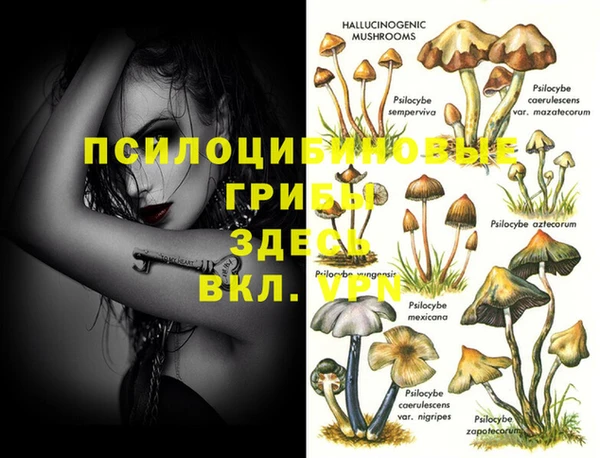 кокс Корсаков
