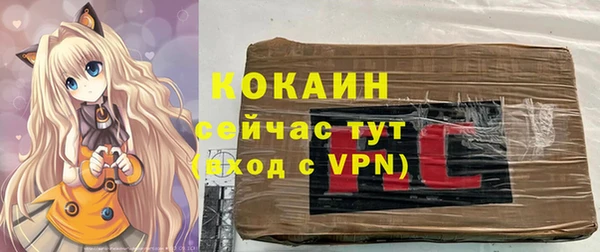 кокс Корсаков