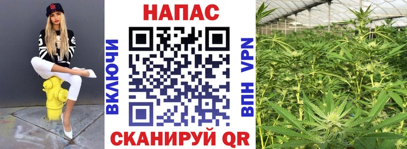 Шишки марихуана SATIVA & INDICA Лаишево